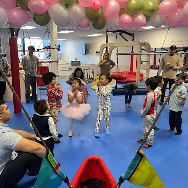 The Whole Hive Party Package